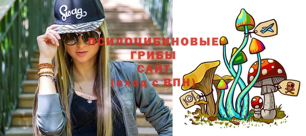 первитин Кукмор