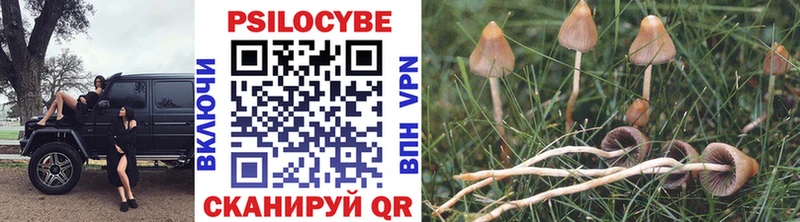 Псилоцибиновые грибы MAGIC MUSHROOMS  Мантурово 